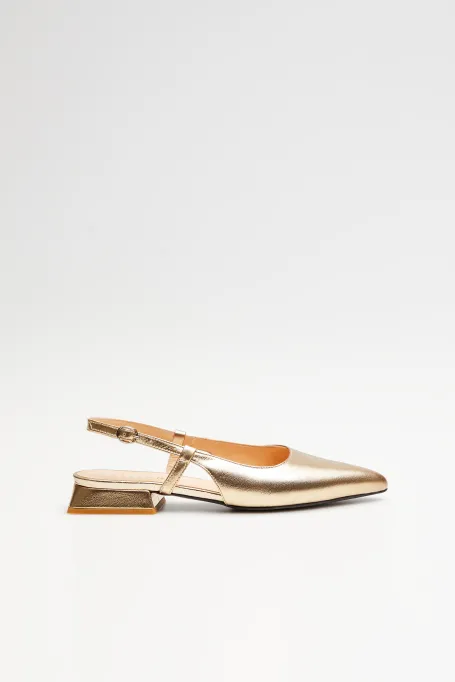 Pantofi aurii