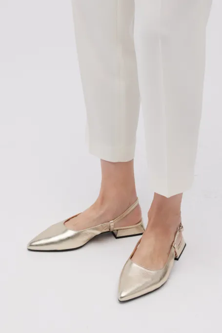 Pantofi aurii
